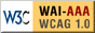 Conforme WAI-AAA